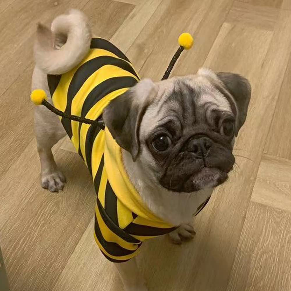 Cute bee costume perfect for fall and Halloween season!
