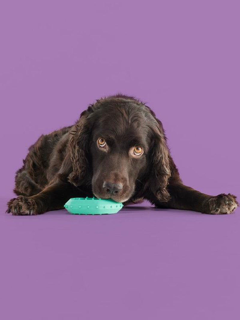 Yomp Chillchew Freezable Dog Toy – Cooling Chew toy, non toxic!