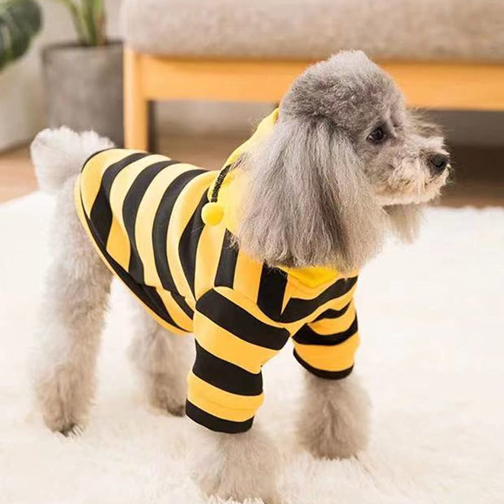 Cute bee costume perfect for fall and Halloween season!
