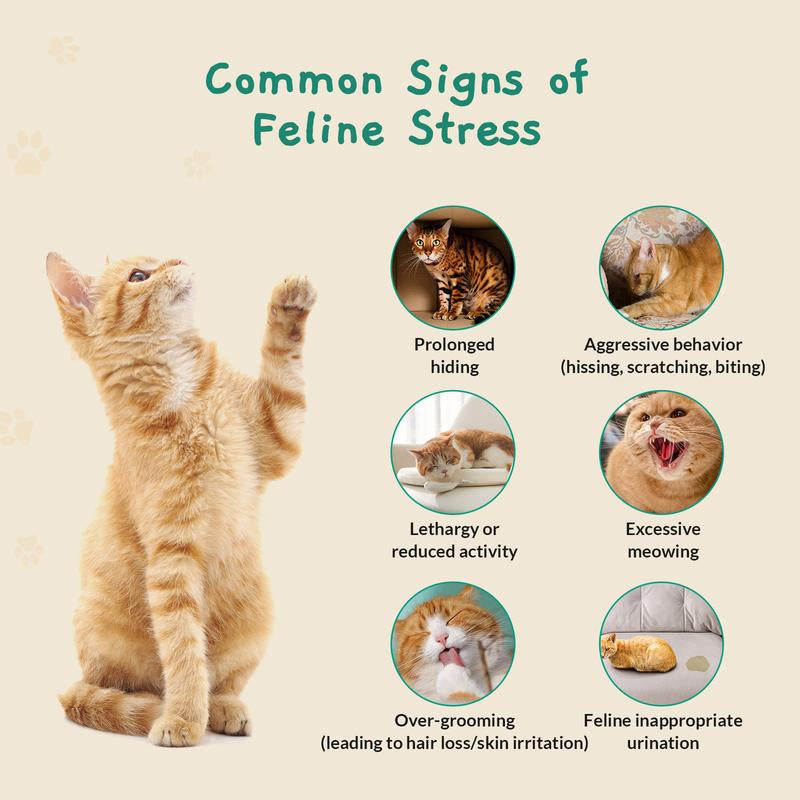 PAWITH Cat Calming Pop Patch (1 Box * 7 Patches) , Lasts Up to 48 Hours, GET YOURS NOW!