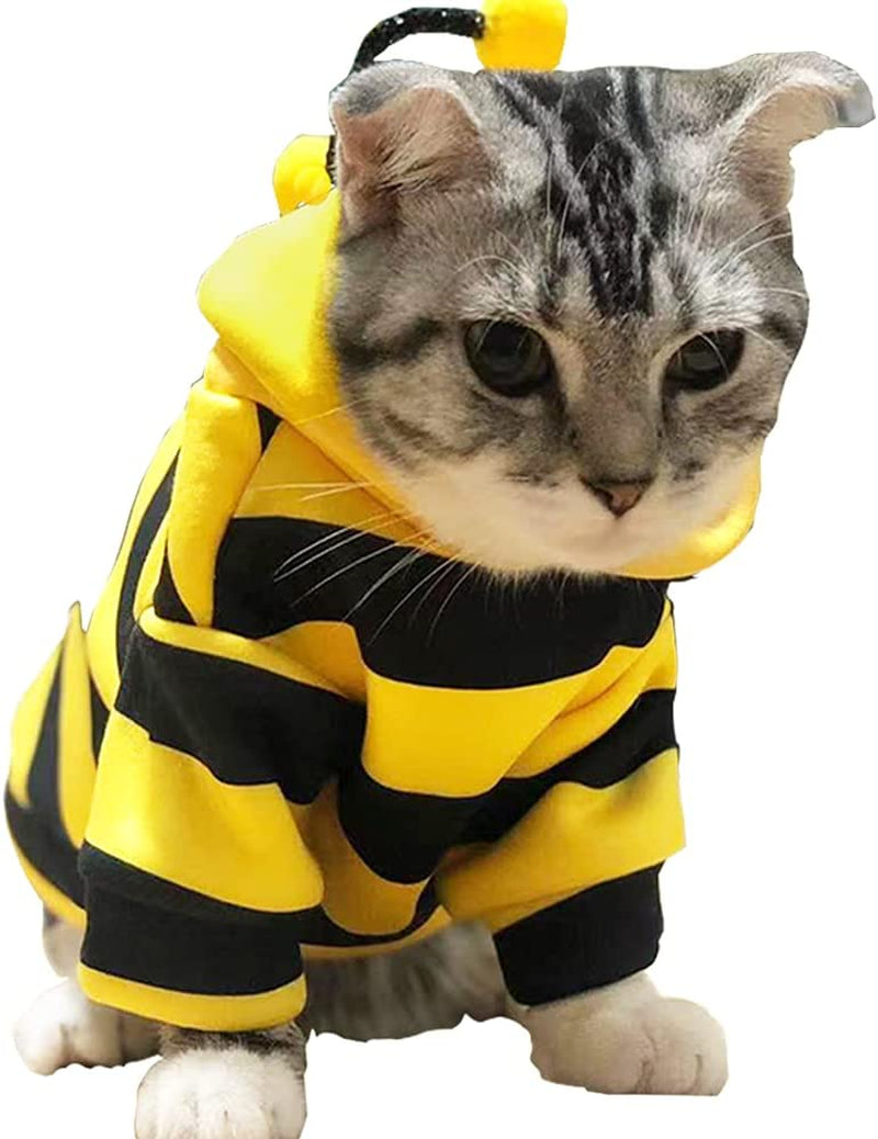 Cute bee costume perfect for fall and Halloween season!