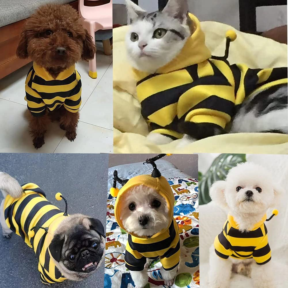Cute bee costume perfect for fall and Halloween season!