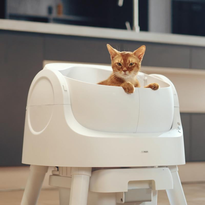 Auto Cleaning Cat Litter Box With Monitoring,  and Extremely Easy to Clean!