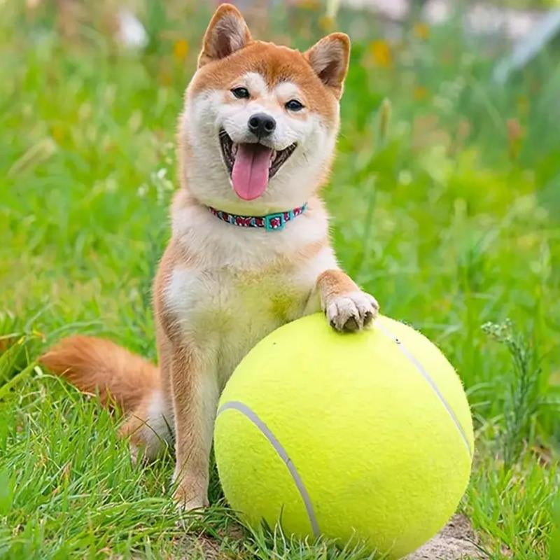 Giant Tennis Ball, Perfect for Big Dogs, and the Outdoors!