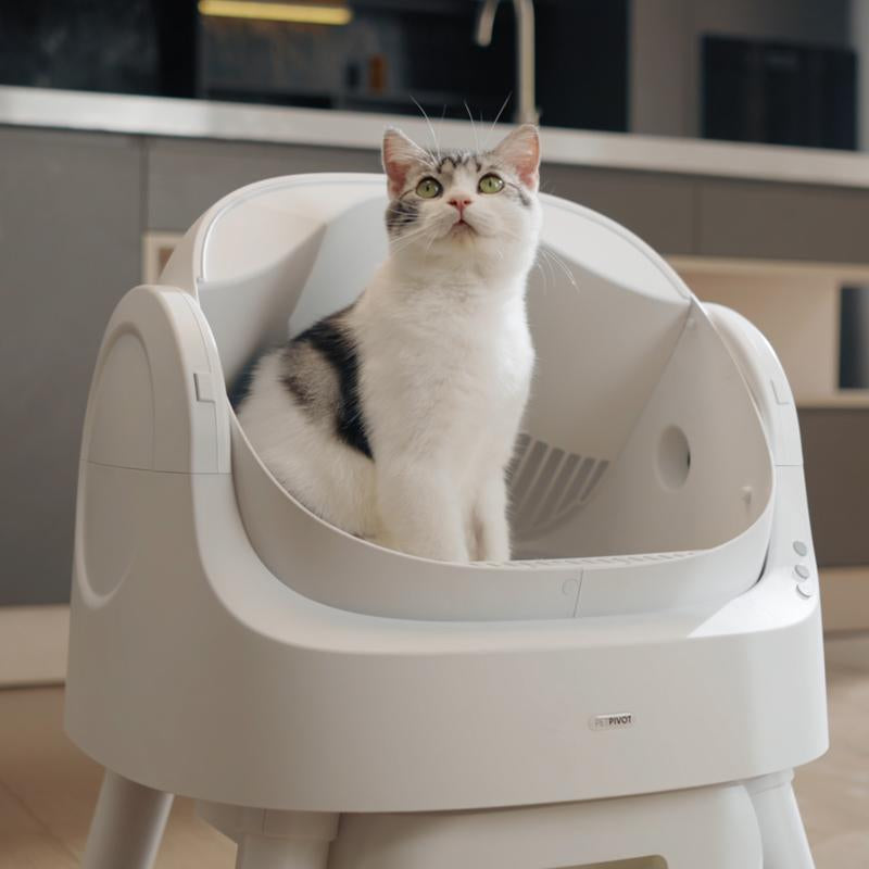 Auto Cleaning Cat Litter Box With Monitoring,  and Extremely Easy to Clean!